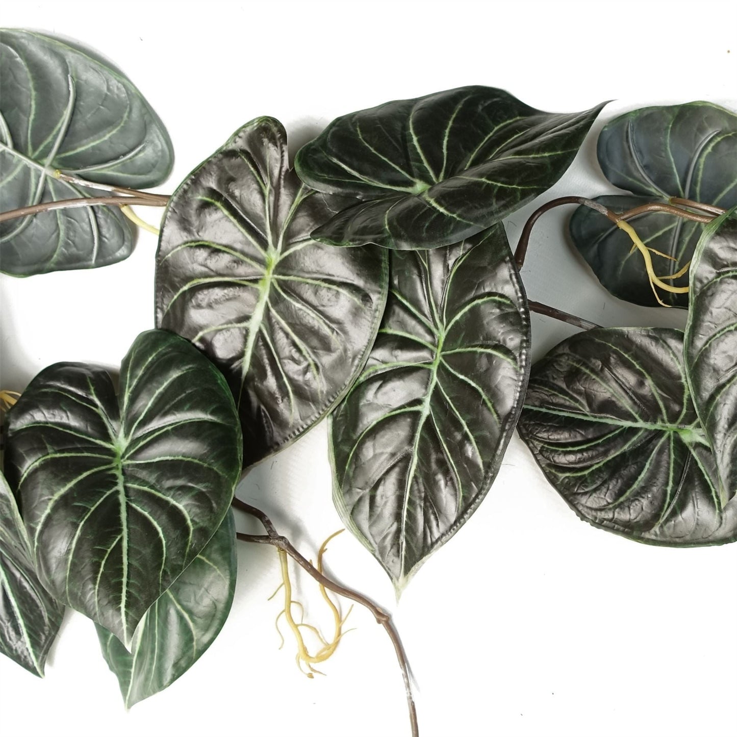 120cm Alocasia Dragon Scale Hanging Plant - Lush, Realistic Greenery! - plants - express.com