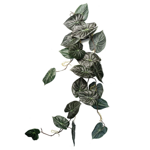 120cm Alocasia Dragon Scale Hanging Plant - Lush, Realistic Greenery! - plants - express.com