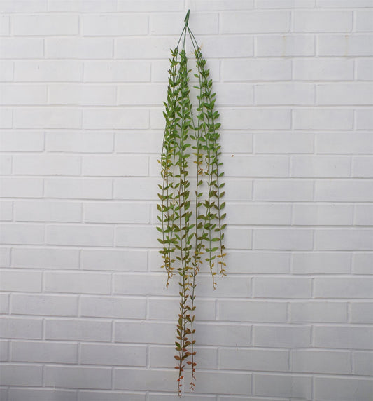120cm Lush Artificial Hanging String of Pearls - Perfect Indoor Décor! - plants - express.com