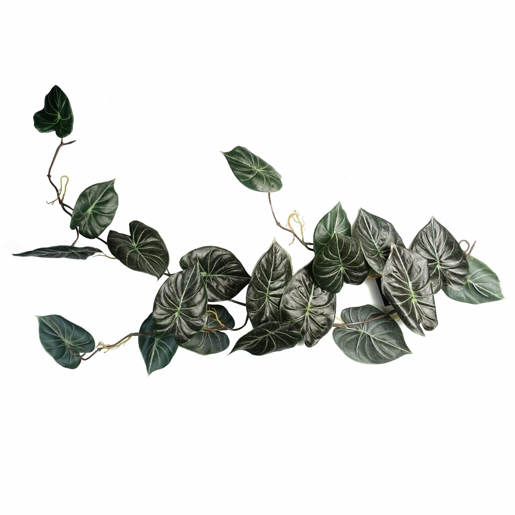 120cm Realistic Alocasia Dragon Scale Trailing Plant – Lush Green Elegance! - plants - express.com