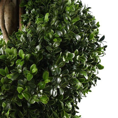 120cm UV Resistant Spiral Buxus Topiary Tree - Stunning Outdoor Décor - plants - express.com