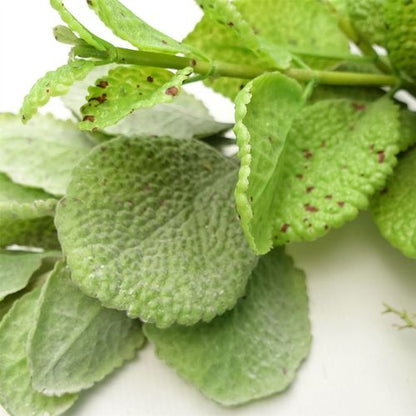 125cm Adjustable Artificial Mint Leaf Garland - Lush Greenery for Any Space - plants - express.com