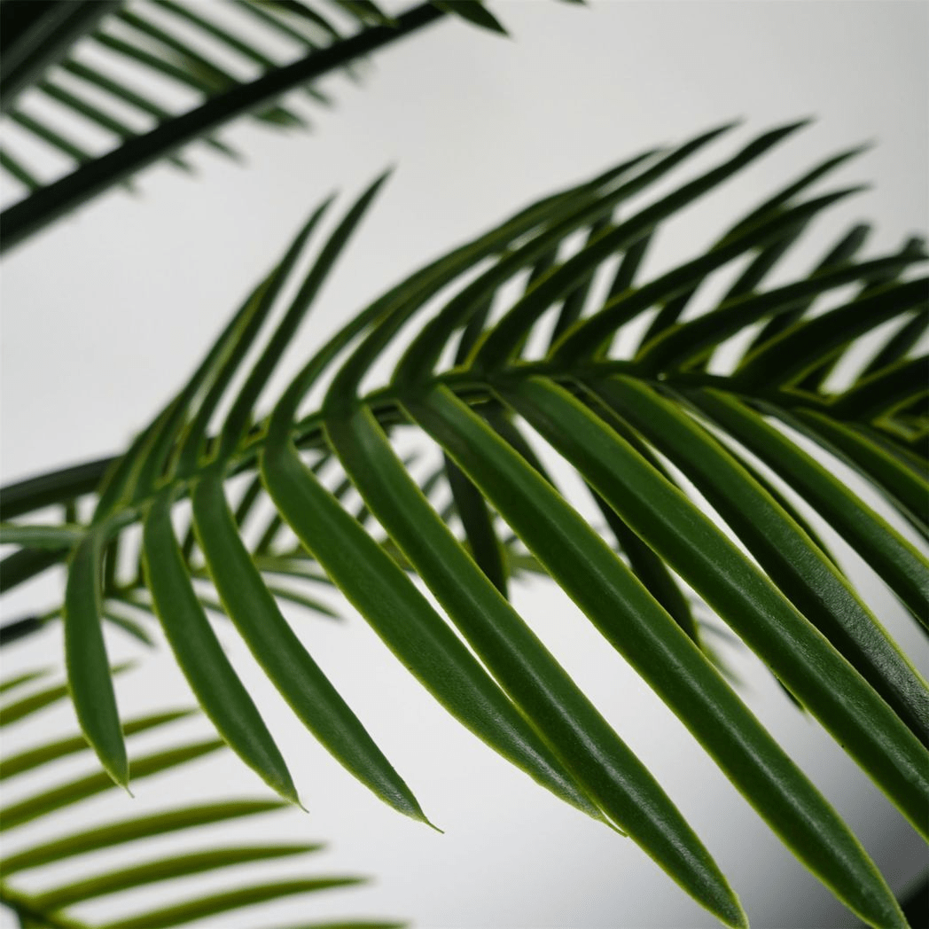 125cm UV Resistant Raphis Palm Tree - Lifelike Indoor/Outdoor Decor - plants - express.com
