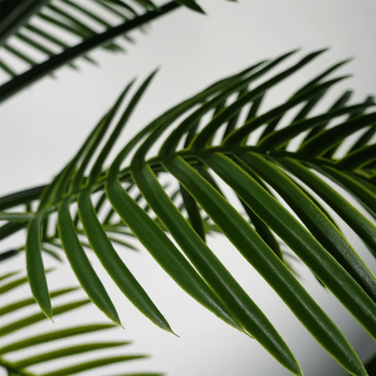 125cm UV Resistant Raphis Palm Tree - Lifelike Indoor/Outdoor Decor - plants - express.com