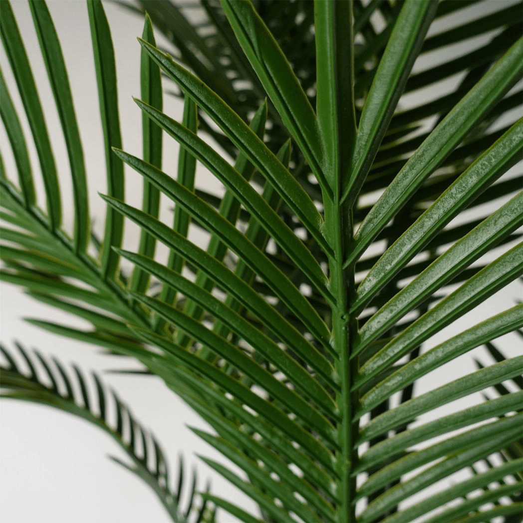 125cm UV Resistant Raphis Palm Tree - Lifelike Indoor/Outdoor Decor - plants - express.com