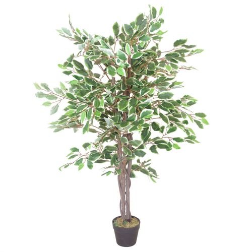 130cm Lifelike White Edge Ficus Tree – Perfectly Shaped Artificial Plant - plants - express.com