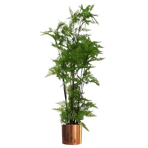 150cm Artificial Natural Extra Large Fern Foliage Plant with Copper Metal Plater - plants - express.com
