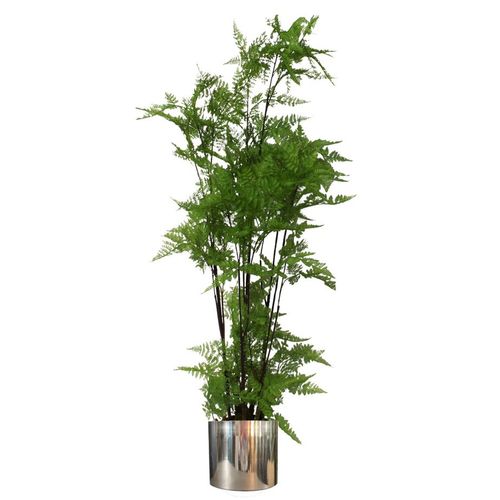 150cm Artificial Natural Extra Large Fern Foliage Plant with Silver Metal Plater - plants - express.com