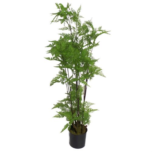150cm Artificial Natural Moss Base Fern Foliage Plant - plants - express.com