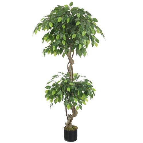 150cm Artificial Twisted Ficus Tree - plants - express.com