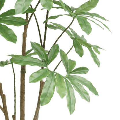 150cm Lifelike Dwarf Umbrella Tree - Stunning Artificial Indoor Décor - plants - express.com