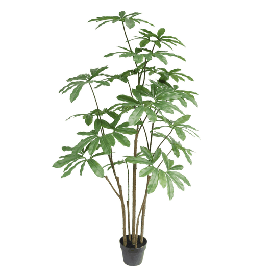 150cm Lifelike Dwarf Umbrella Tree - Stunning Artificial Indoor Décor - plants - express.com