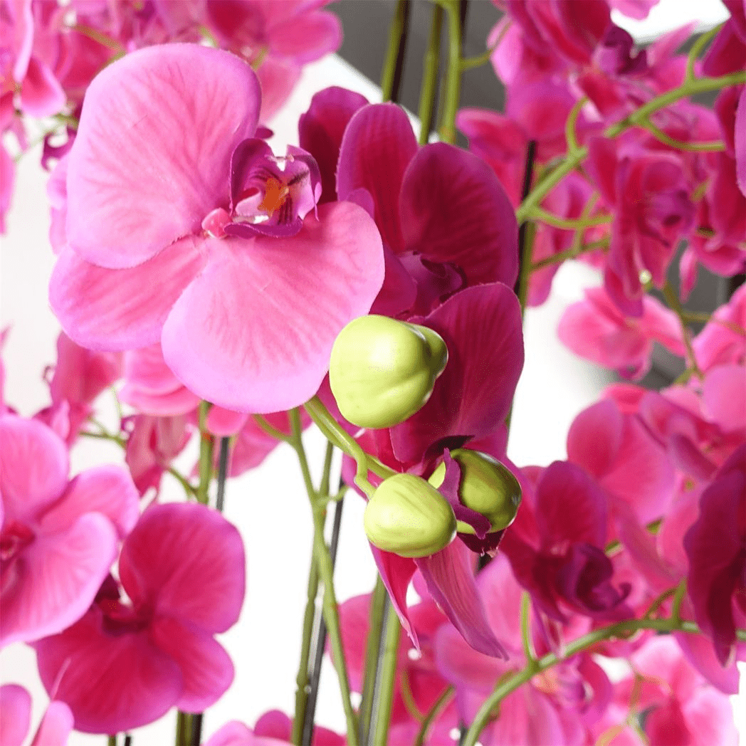 150cm Lifelike Giant Pink Orchid Plant - 189 Real Touch Flowers! - plants - express.com