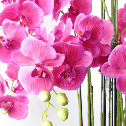 150cm Lifelike Giant Pink Orchid Plant - 189 Real Touch Flowers! - plants - express.com
