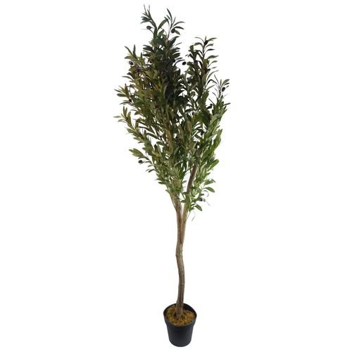 150cm Lifelike Olive Tree with Realistic Trunk - No Maintenance Required! - plants - express.com