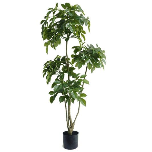 150cm Lifelike Radermachera Artificial Tree - Effortless Elegance for Any Space - plants - express.com