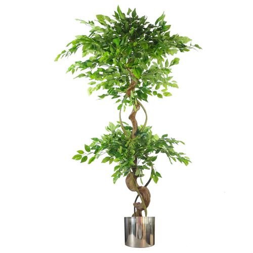 150cm Twisted Trunk Artificial Japanese Fruticosa Ficus Tree Silver Planter - plants - express.com