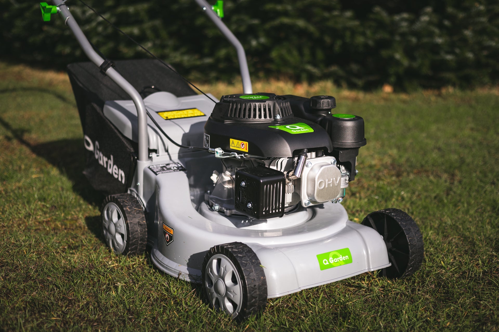16" (40cm) Poly Deck 130cc - plants - express.com