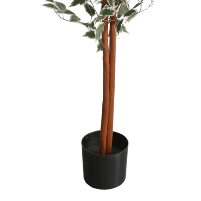 160cm Artificial Ficus with Realistic Variegated Leaves - plants - express.com