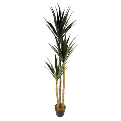 170cm Realistic Artificial XL Triple Yukka Tree - Stunning Indoor Statement Piece - plants - express.com