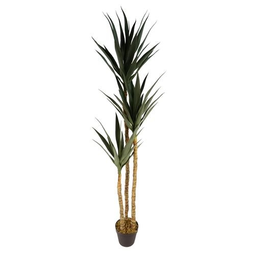 170cm Realistic Artificial XL Triple Yukka Tree - Stunning Indoor Statement Piece - plants - express.com