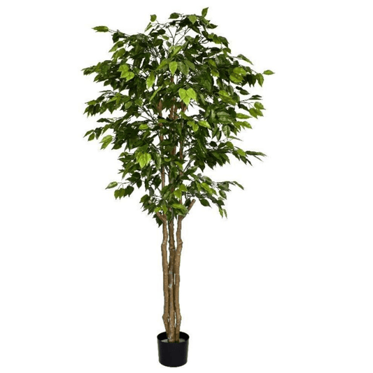 180cm Deluxe Fire Retardant Retusa Ficus Tree - Lush, Maintenance - Free Greenery! - plants - express.com
