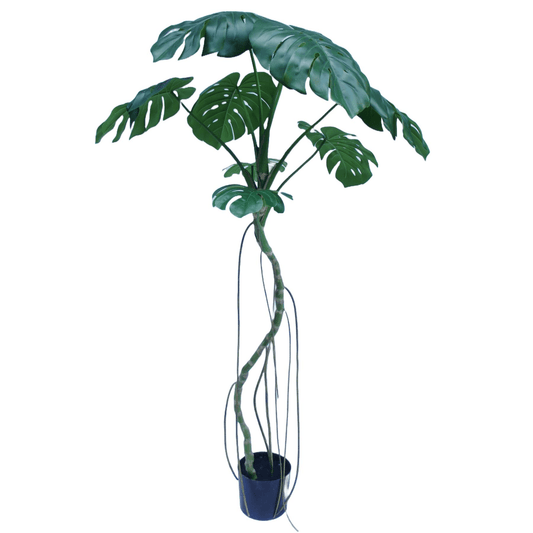 180cm Lifelike Monstera Artificial Tree - Effortless Greenery for Any Space! - plants - express.com