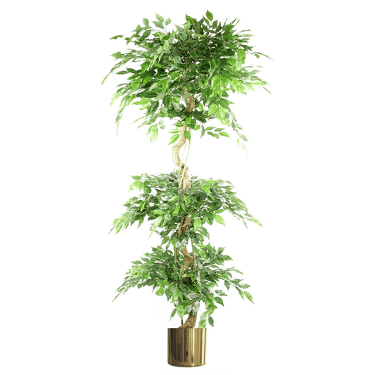 180cm Triple Ball Topiary Ficus Tree in Elegant Gold Metal Planter - plants - express.com