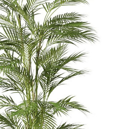 180cm UV Resistant Artificial Areca Palm - Lifelike Tropical Elegance - plants - express.com