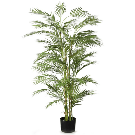 180cm UV Resistant Artificial Areca Palm - Lifelike Tropical Elegance - plants - express.com
