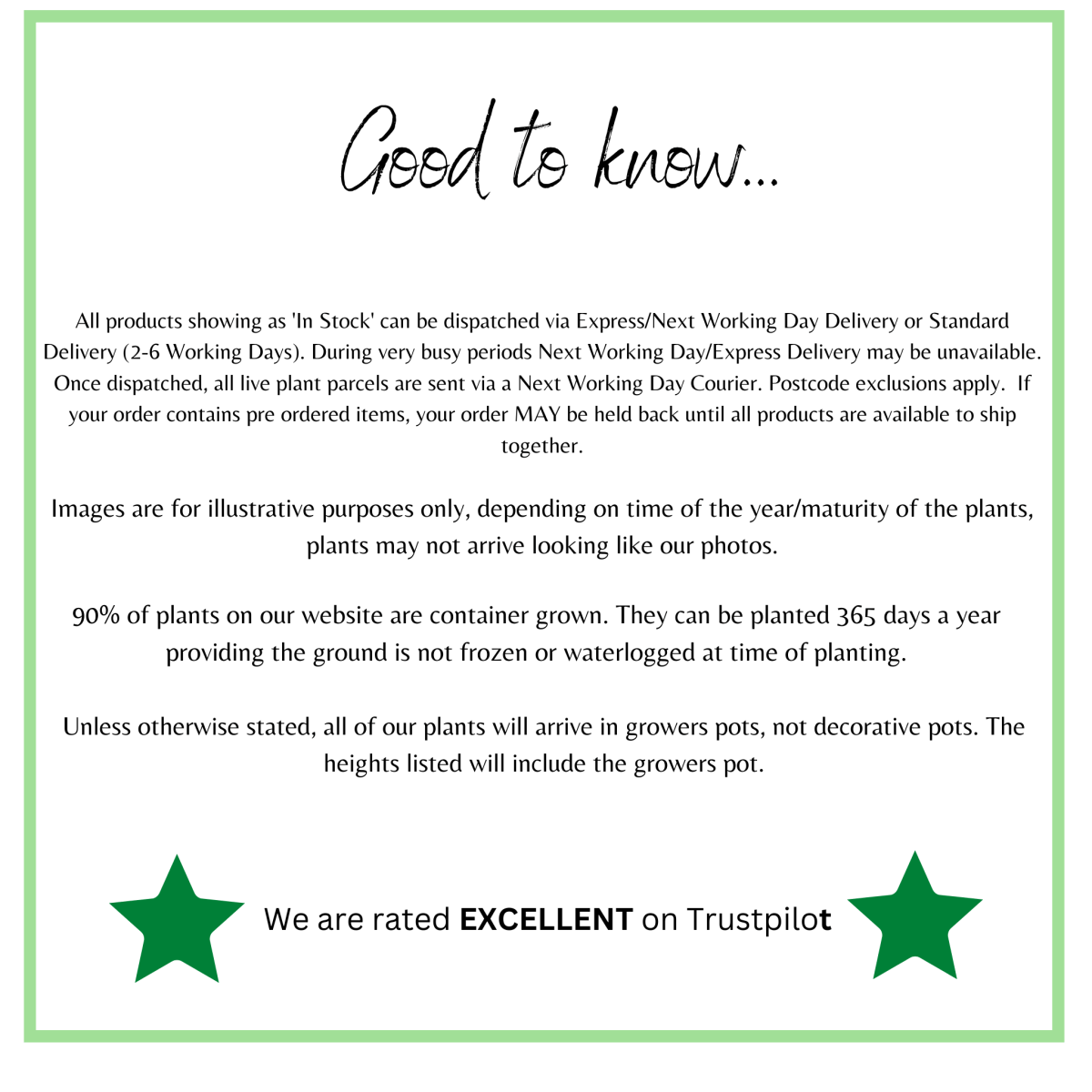 20 - Plant Pansy Tray: Bright Bedding Plants for Beds & Containers - plants - express.com