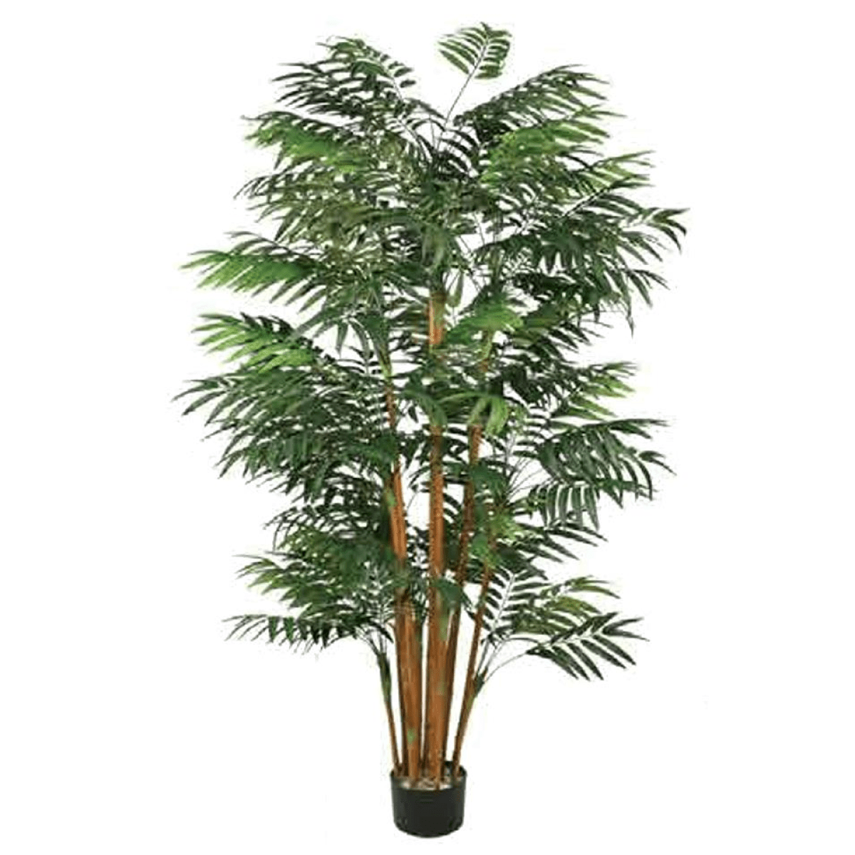 200cm Fire - Resistant Natural Bamboo Tree – Effortless Greenery Anywhere! - plants - express.com