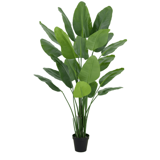 200cm Lifelike Traveller Palm: Effortless Tropical Elegance for Any Space - plants - express.com