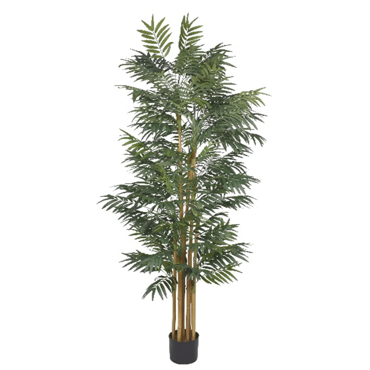 210cm Fire - Resistant Phoenix Palm Tree | Lush Natural Look, No Maintenance! - plants - express.com