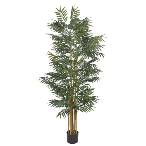 210cm Fire - Resistant Phoenix Palm Tree | Lush Natural Look, No Maintenance! - plants - express.com