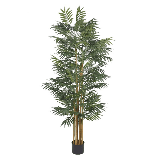 210cm Fire - Resistant Phoenix Palm Tree | Lush Natural Look, No Maintenance! - plants - express.com
