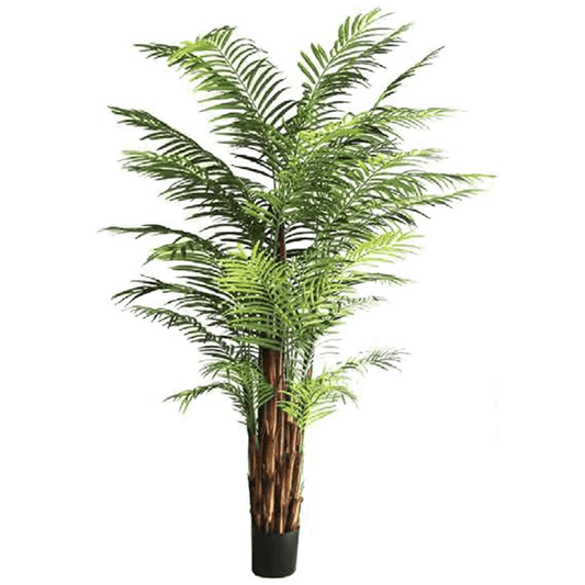 210cm Fire Retardant Areca Palm: Lush Greenery, Zero Maintenance! - plants - express.com