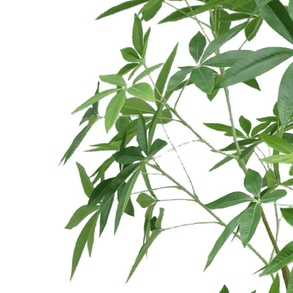 210cm Lifelike Artificial Money Tree - Effortless Greenery for Any Space! - plants - express.com
