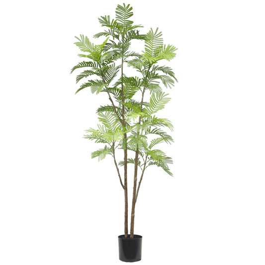 210cm Lifelike Spiny Date Palm - Tropical Elegance for Any Space! - plants - express.com