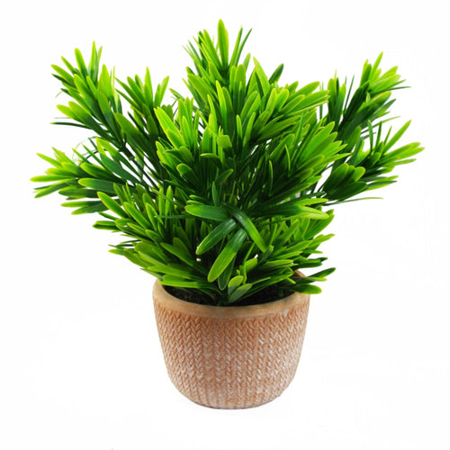 22cm Realistic Honey Plant in Stylish Terracotta Pot - Dark Green Elegance - plants - express.com
