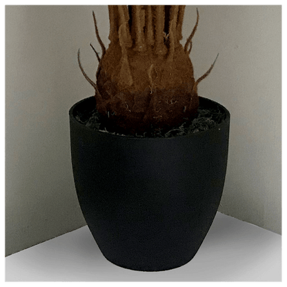 30” Luxe Artificial Cycas Palm Plant - Perfect for Modern Décor & Spaces! - plants - express.com
