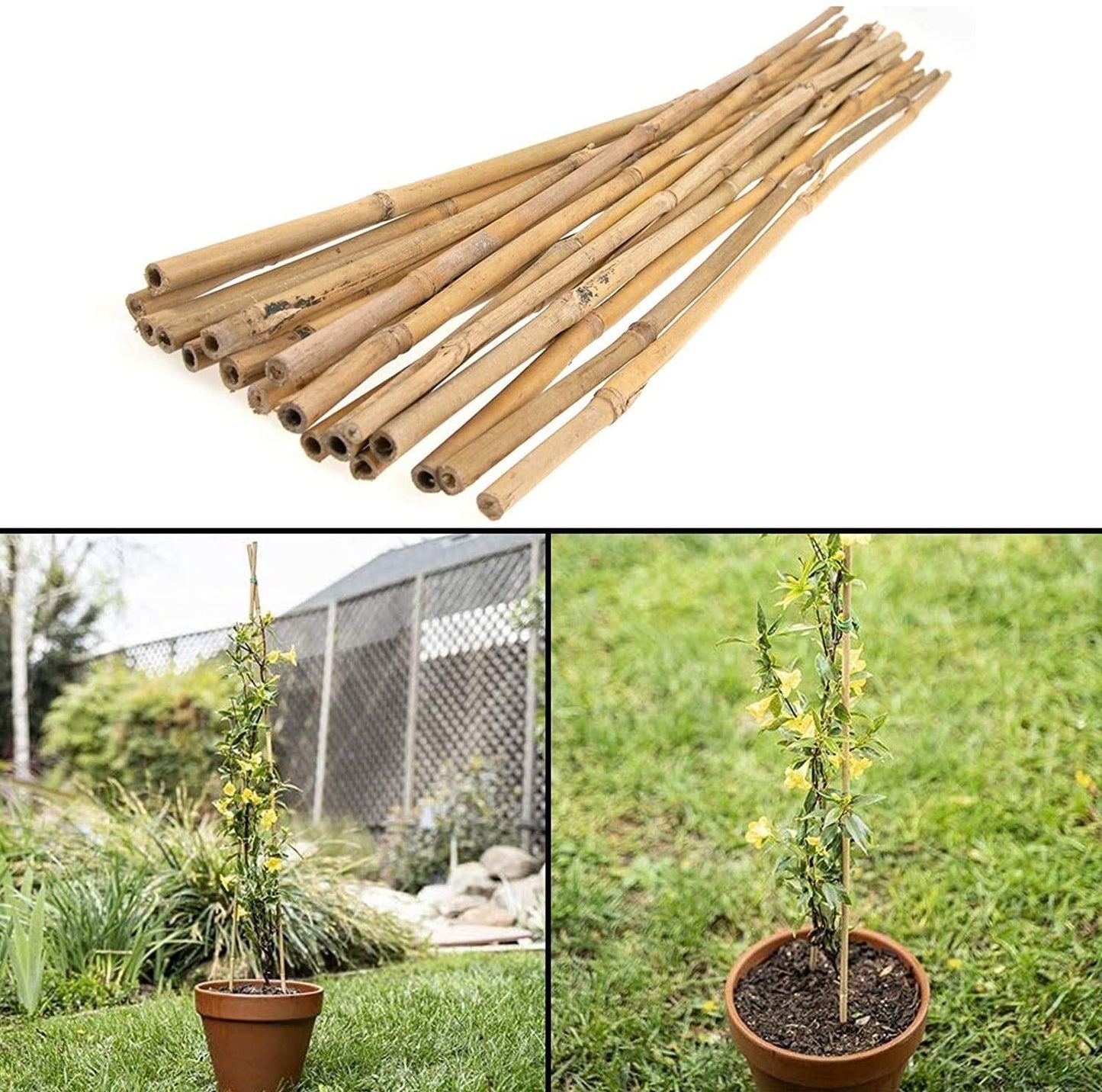 30 x 3FT Bamboo Canes Sticks 90CM - plants - express.com