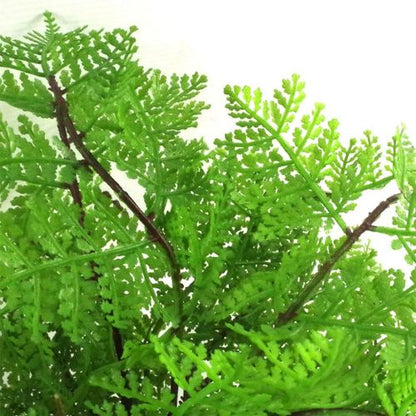 30cm Artificial Potted Lady Fern (Athyrium Filix - Femina) - plants - express.com