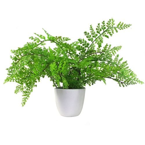 30cm Artificial Potted Royal Fern - plants - express.com