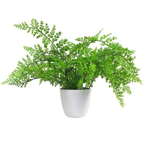 30cm Artificial Potted Royal Fern - plants - express.com