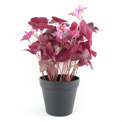 30cm Lifelike Purple Shamrock Plant in Elegant Black Pot - Stunning Home Decor - plants - express.com