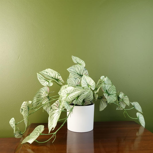 30cm Realistic Potted Variegated Alocasia - Stunning Indoor Decor - plants - express.com