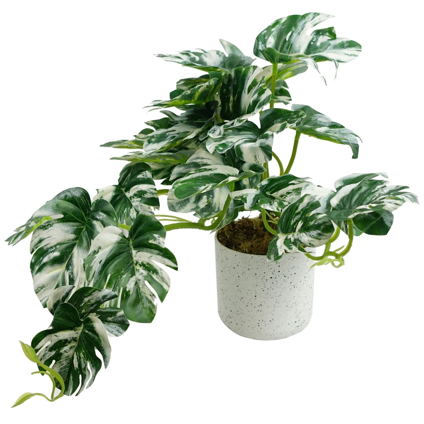 30cm Realistic Variegated Monstera - Effortless Greenery for Your Space! - plants - express.com