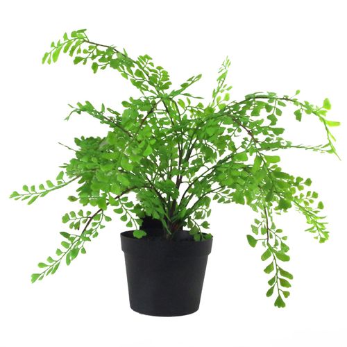 35cm Artificial Potted Fern Plant (Southern Maidenhair Fern) - plants - express.com