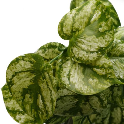 35cm Lush Trailing Green Plant - Perfect for Stunning Displays & Arrangements! - plants - express.com